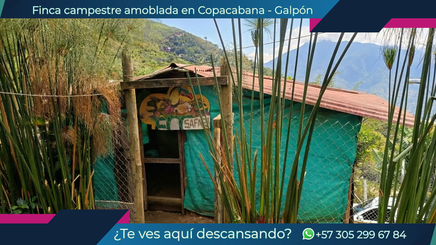Finca en venta en Alto De La Virgen, Guarne, 800 m² · foto 5 de 20