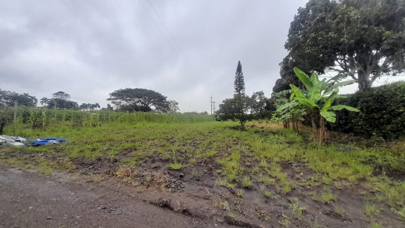 Lote en venta en Cerritos, Pereira, 2100 m² · foto 3 de 9