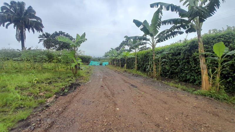 Lote en venta en Cerritos, Pereira, 2100 m² · foto 4 de 9