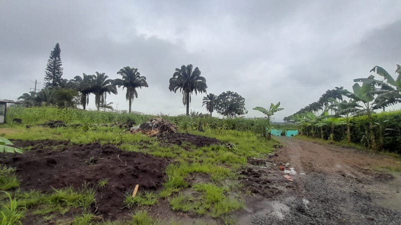 Lote en venta en Cerritos, Pereira, 2100 m² · foto 8 de 9