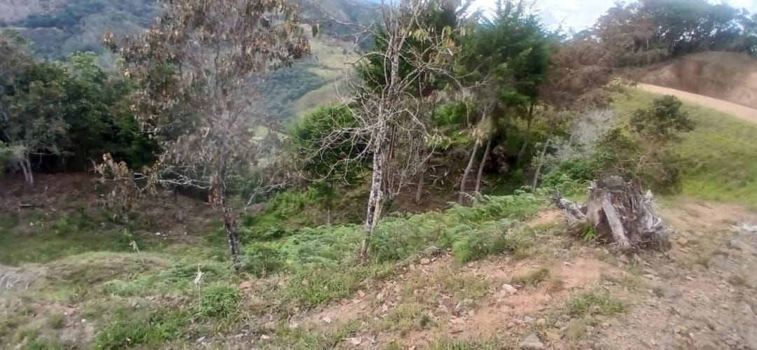 Lote en venta en Los Salados, El Retiro, 5000 m² · foto 5 de 20