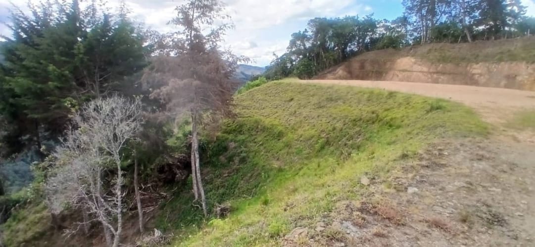 Lote en venta en Los Salados, El Retiro, 5000 m² · foto 9 de 20