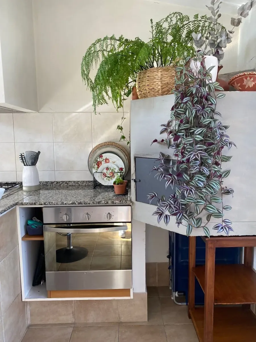 Apartamento en Alquiler · Foto 11