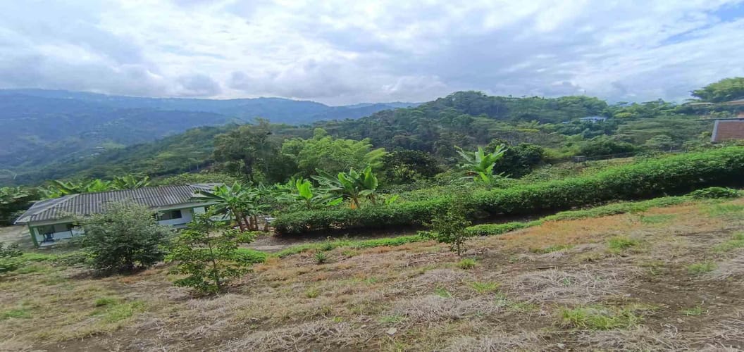 Finca en venta en San Peregrino, Manizales, 138 m² · foto 4 de 21