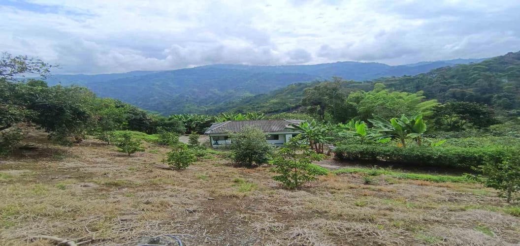 Finca en venta en San Peregrino, Manizales, 138 m² · foto 5 de 21