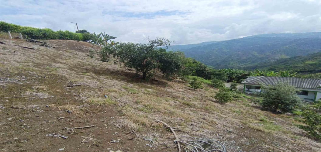 Finca en venta en San Peregrino, Manizales, 138 m² · foto 6 de 21