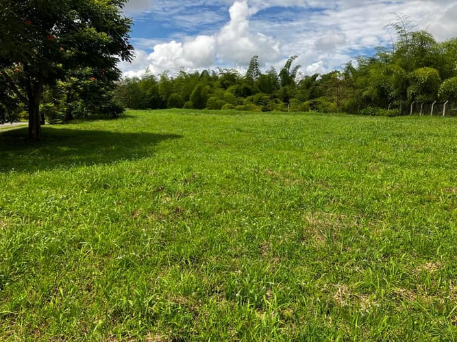 Lote en venta en Cerritos, Pereira, 2262 m² · foto 5 de 13