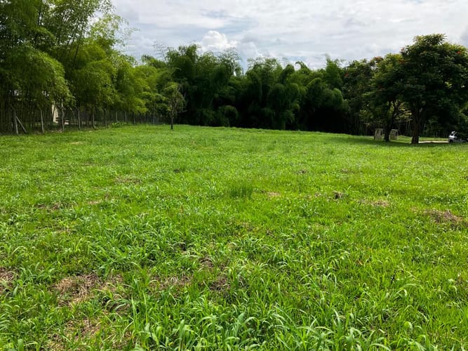 Lote en venta en Cerritos, Pereira, 2262 m² · foto 6 de 13