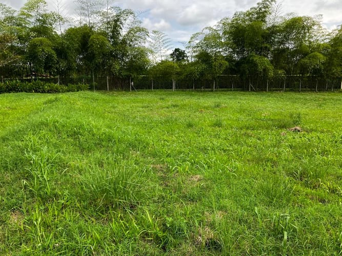 Lote en venta en Cerritos, Pereira, 2262 m² · foto 7 de 13