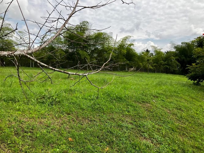 Lote en venta en Cerritos, Pereira, 2262 m² · foto 8 de 13