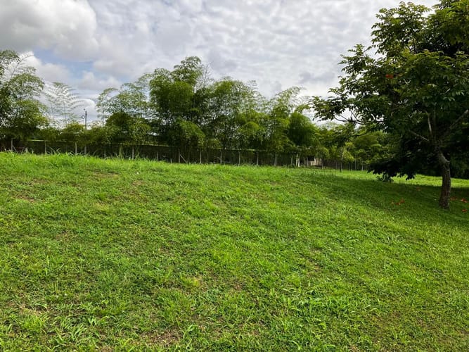 Lote en venta en Cerritos, Pereira, 2262 m² · foto 9 de 13
