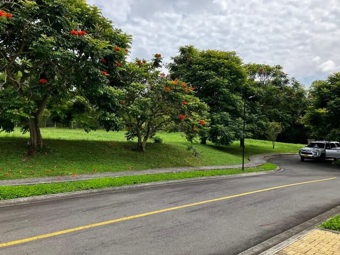 Lote en venta en Cerritos, Pereira, 2262 m² · foto 12 de 13