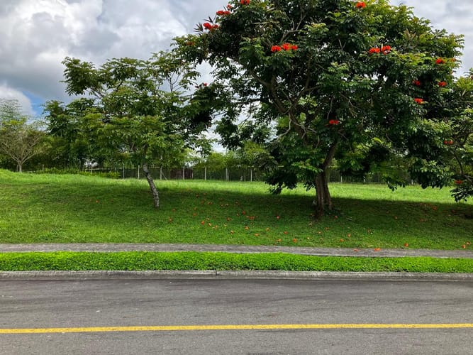 Lote en venta en Cerritos, Pereira, 2262 m² · foto 13 de 13
