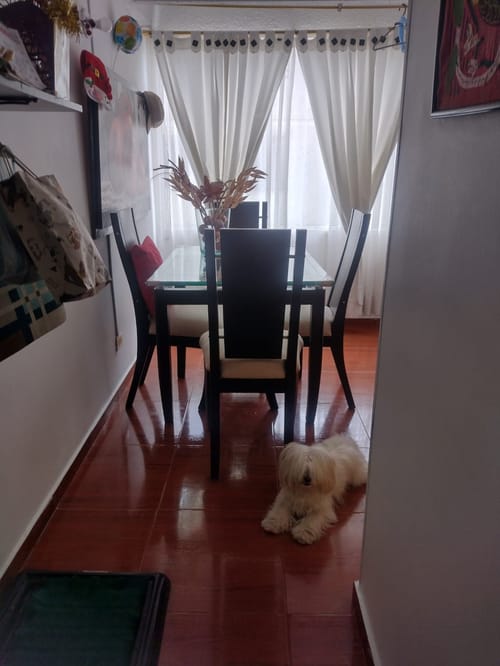 Apartaestudio en venta en Engativá, Bogotá, 30 m² · foto 9 de 18