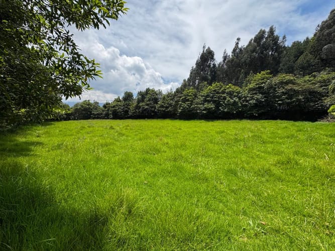 Lote en venta en Fonquetá, Chía, 3600 m² · foto 3 de 8