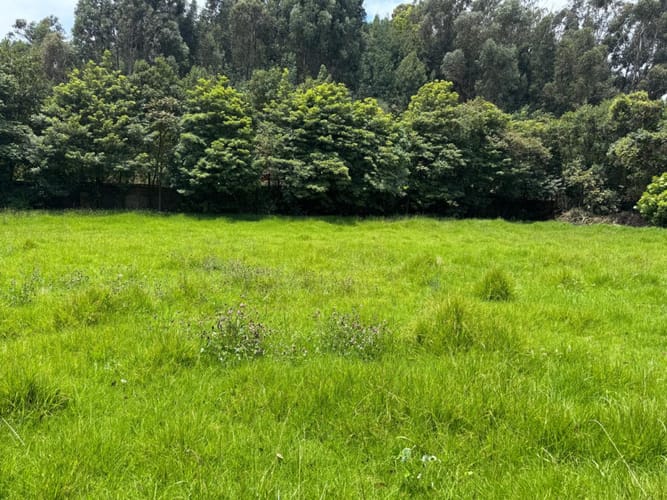 Lote en venta en Fonquetá, Chía, 3600 m² · foto 5 de 8