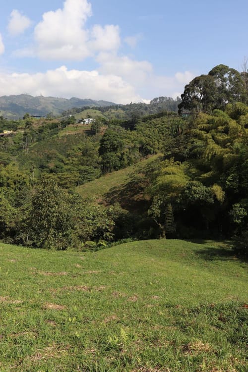 Lote en venta en Los Naranjos, Dosquebradas, 5700 m² · foto 3 de 14