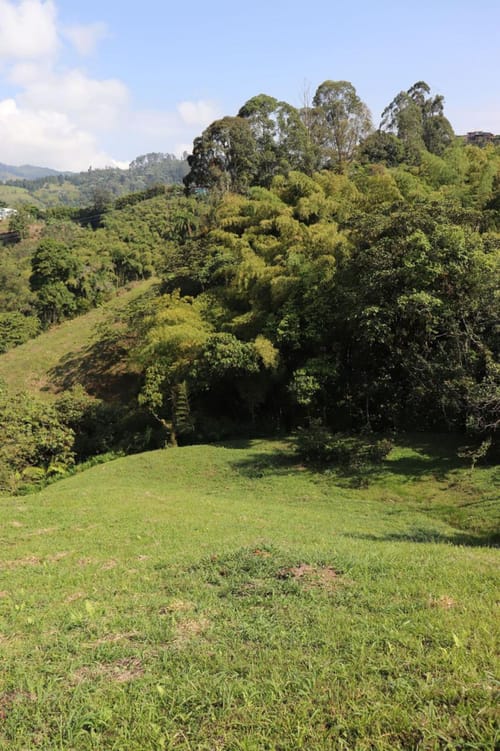 Lote en venta en Los Naranjos, Dosquebradas, 5700 m² · foto 4 de 14