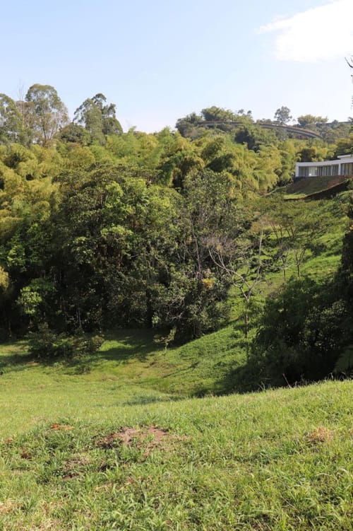 Lote en venta en Los Naranjos, Dosquebradas, 5700 m² · foto 5 de 14