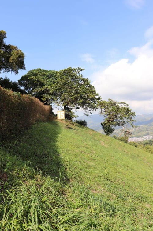 Lote en venta en Los Naranjos, Dosquebradas, 5700 m² · foto 12 de 14