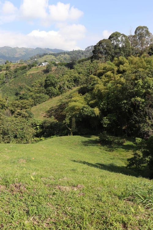 Lote en venta en Los Naranjos, Dosquebradas, 5700 m² · foto 13 de 14