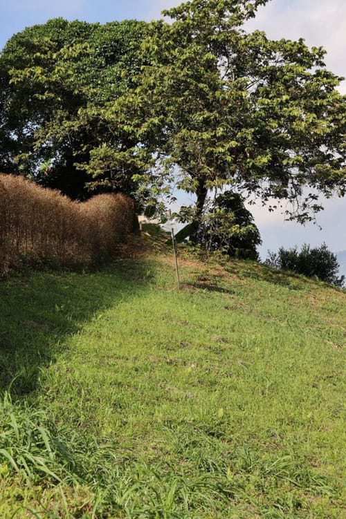 Lote en venta en Los Naranjos, Dosquebradas, 5700 m² · foto 14 de 14
