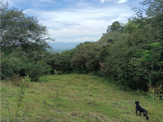 Lote en venta en Palmira · foto 2 de 15