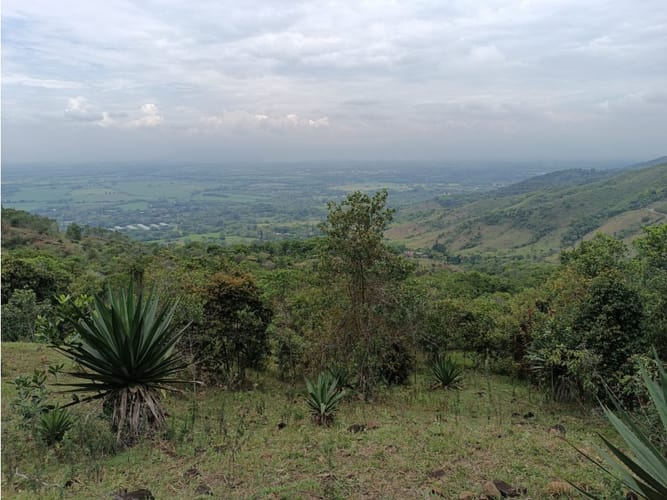 Lote en venta en Palmira · foto 3 de 15
