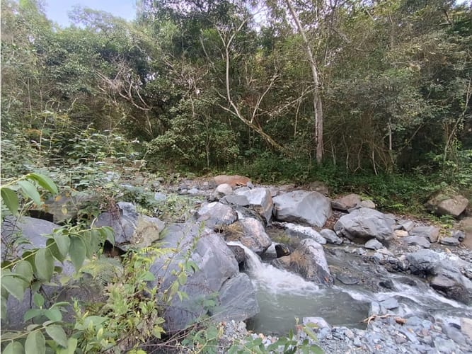 Lote en venta en Palmira · foto 4 de 15