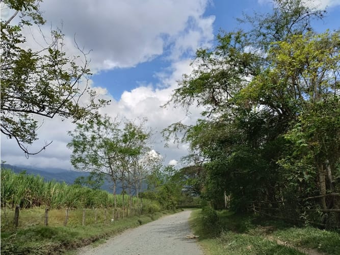 Lote en venta en Palmira · foto 5 de 15