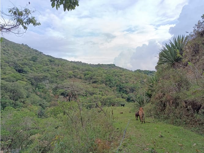 Lote en venta en Palmira · foto 6 de 15