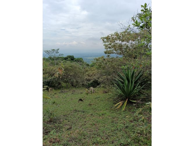Lote en venta en Palmira · foto 7 de 15