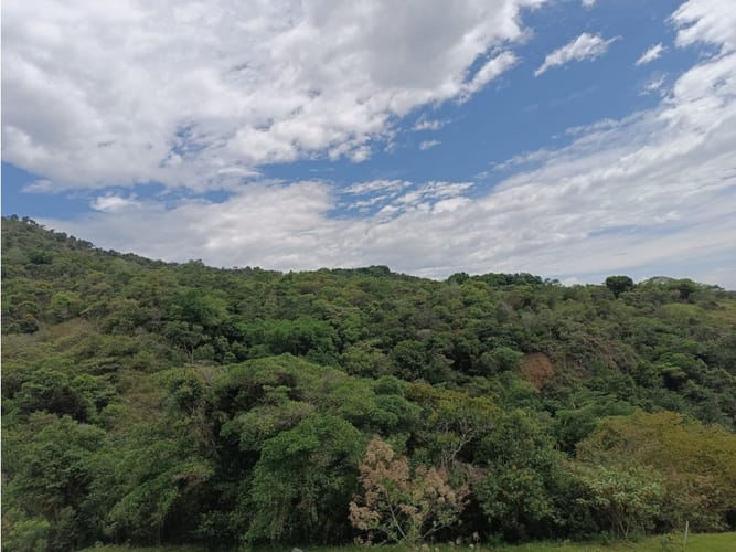 Lote en venta en Palmira · foto 8 de 15