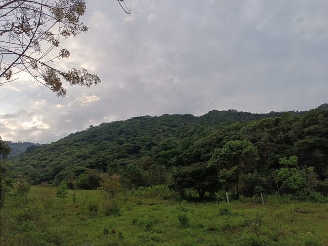 Lote en venta en Palmira · foto 9 de 15