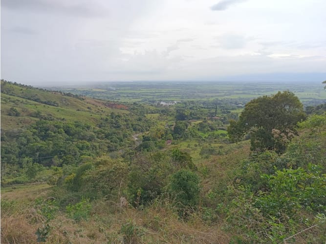 Lote en venta en Palmira · foto 14 de 15