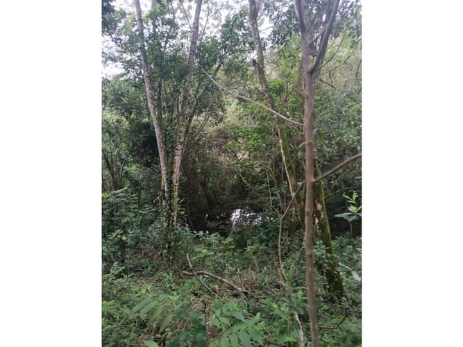 Lote en venta en Palmira · foto 15 de 15