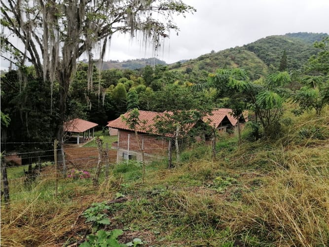 Lote en venta en Ayacucho - La Buitrera, Palmira, 19594 m² · foto 2 de 24