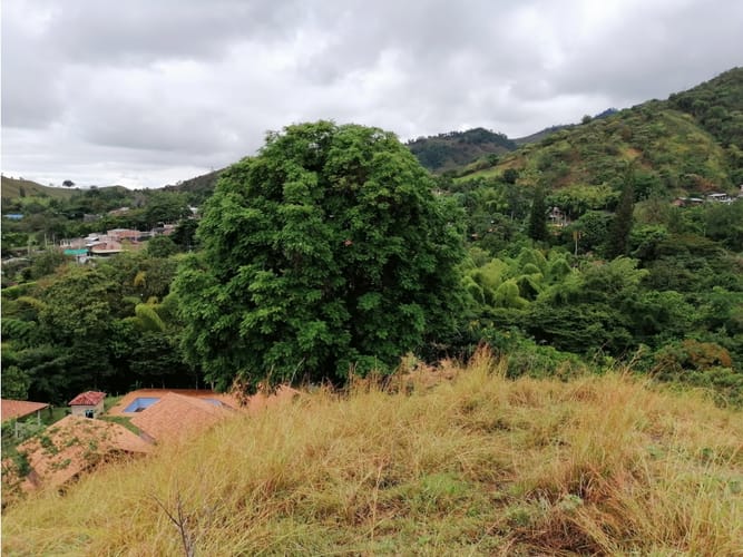 Lote en venta en Ayacucho - La Buitrera, Palmira, 19594 m² · foto 3 de 24