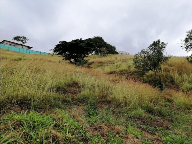 Lote en venta en Ayacucho - La Buitrera, Palmira, 19594 m² · foto 15 de 24