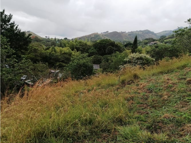 Lote en venta en Ayacucho - La Buitrera, Palmira, 19594 m² · foto 17 de 24
