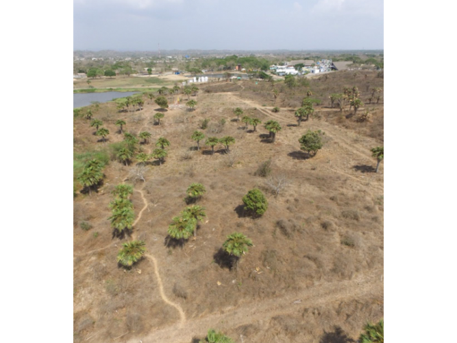 Lote en venta en Cartagena De Indias, Cartagena, 90000 m² · foto 3 de 6