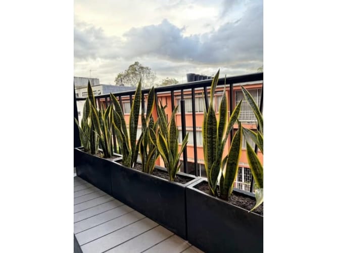 Apartamento de 1 alcoba en venta en El Virrey, Bogotá, 45 m² · foto 2 de 10