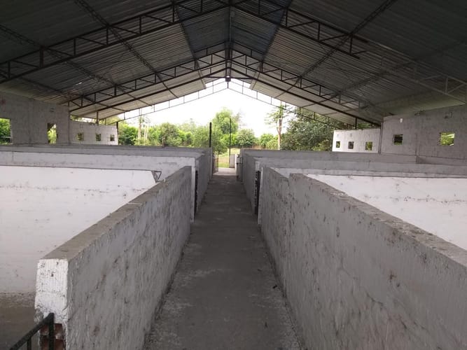 Finca en venta en San Joaquin, Candelaria, 5032 m² · foto 10 de 13