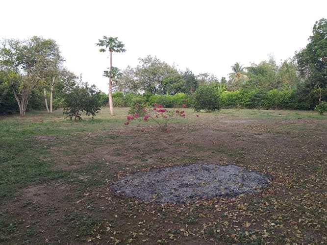 Finca en venta en San Joaquin, Candelaria, 5032 m² · foto 4 de 13