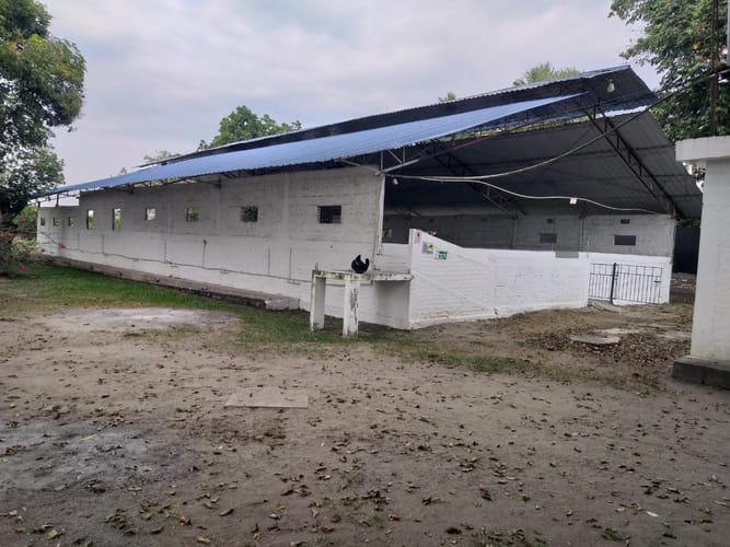 Finca en venta en San Joaquin, Candelaria, 5032 m² · foto 11 de 13