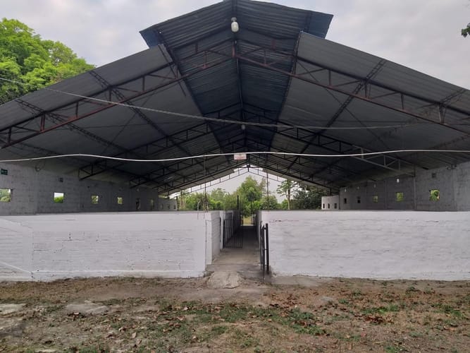 Finca en venta en San Joaquin, Candelaria, 5032 m² · foto 8 de 13