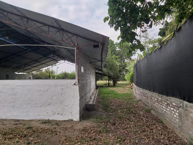 Finca en venta en San Joaquin, Candelaria, 5032 m² · foto 12 de 13