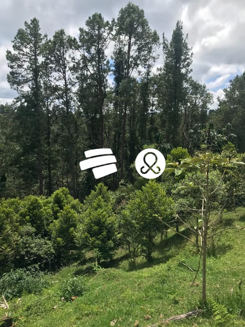 Lote en venta en Vía Las Palmas, Envigado, 6 m² · foto 6 de 7