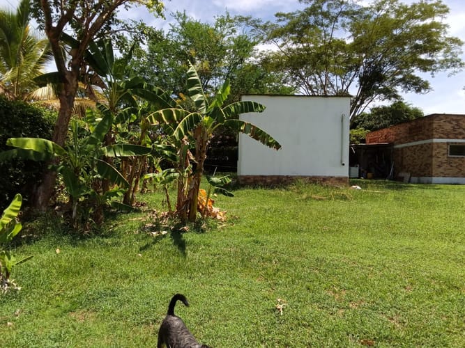 Casa de 1 alcoba en venta en Chucuni, Ibagué · foto 7 de 13