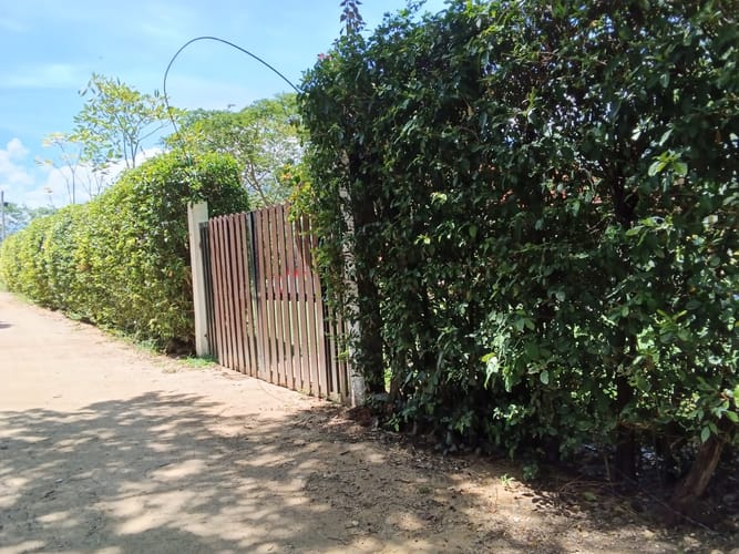 Casa de 1 alcoba en venta en Chucuni, Ibagué · foto 12 de 13